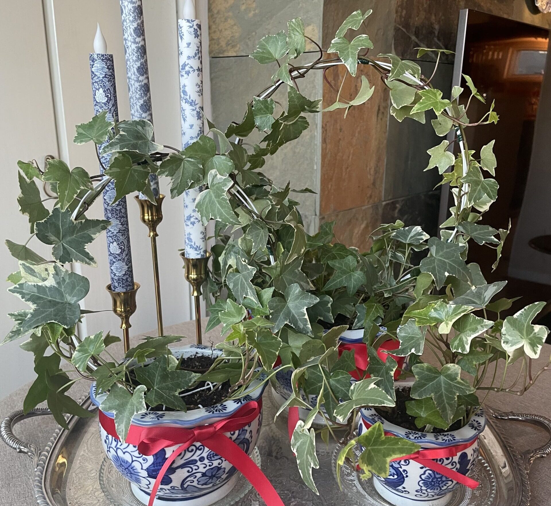 クリスマス使用のアイビートピアリー