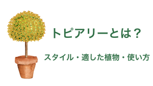 トピアリーとは？