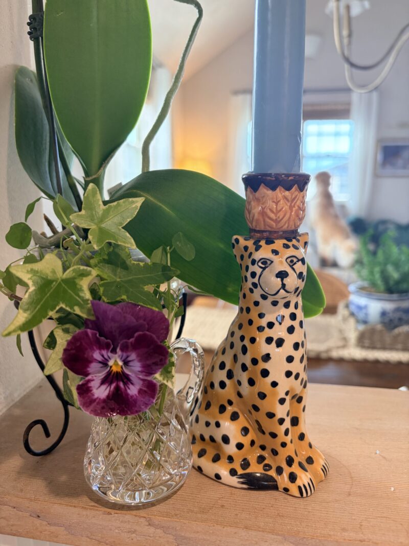 切ったアイビーは花瓶へ