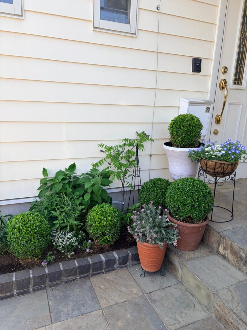 ボックスウッドポーチ